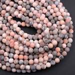 Matte Pink Zebra Jasper 4mm 6mm 8mm 10mm Round Beads Frosty Pink Grey Beads 15.5" Strand