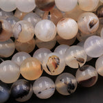 Natural Montana Agate 4mm 6mm 8mm 10mm 12mm Smooth Round Beads Amazing Dendritic Pattern 15.5" Strand