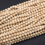 Natural Fossil Jasper River Stone 4mm  6mm 8mm  10mm Polished Round Tan Beige Cream Beads 15.5" Strand