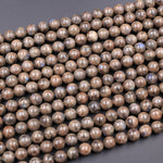 Rare Natural Chocolate Labradorite 4mm 6mm 8mm 10mm 12mm Round Beads 15.5" Strand