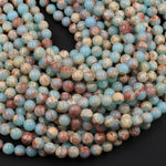 Impression Jasper Smooth Round Beads 4mm 6mm 8mm 10mm Aka Snake Skin Jasper Aqua Terra Jasper 15.5" Strand