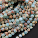 Impression Jasper Smooth Round Beads 4mm 6mm 8mm 10mm Aka Snake Skin Jasper Aqua Terra Jasper 15.5" Strand