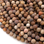 Matte Natural Petrified Wood Beads 4mm 6mm 8mm 10mm Round Beads Earthy Brown Tan Beige Taupe Natural Stone 15.5" Strand