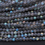 AAA Natural Blue Labradorite 2mm 3mm 4mm 6mm 8mm 10mm 12mm Round Beads Nothing But Fire Best Quality 15.5" Strand
