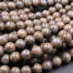 Rare Natural Chocolate Labradorite 4mm 6mm 8mm 10mm 12mm Round Beads 15.5" Strand
