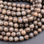 Rare Natural Chocolate Labradorite 4mm 6mm 8mm 10mm 12mm Round Beads 15.5" Strand