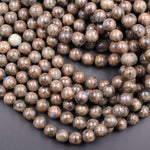 Rare Natural Chocolate Labradorite 4mm 6mm 8mm 10mm 12mm Round Beads 15.5" Strand