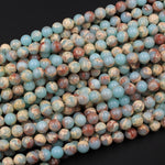 Impression Jasper Smooth Round Beads 4mm 6mm 8mm 10mm Aka Snake Skin Jasper Aqua Terra Jasper 15.5" Strand