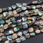 Natural Abalone Shell Freeform Nugget Irregular Shaped Beads Iridescent Rainbow Glow Blue Green Red Pink Flash 15.5" Strand