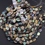 Natural Abalone Shell Freeform Nugget Irregular Shaped Beads Iridescent Rainbow Glow Blue Green Red Pink Flash 15.5" Strand