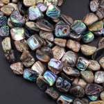 Natural Abalone Shell Freeform Nugget Irregular Shaped Beads Iridescent Rainbow Glow Blue Green Red Pink Flash 15.5" Strand