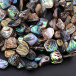 Natural Abalone Shell Freeform Nugget Irregular Shaped Beads Iridescent Rainbow Glow Blue Green Red Pink Flash 15.5" Strand