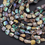 Natural Abalone Shell Freeform Nugget Irregular Shaped Beads Iridescent Rainbow Glow Blue Green Red Pink Flash 15.5" Strand