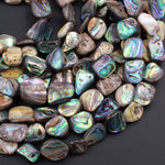 Natural Abalone Shell Freeform Nugget Irregular Shaped Beads Iridescent Rainbow Glow Blue Green Red Pink Flash 15.5" Strand