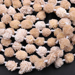 Natural Selenite Desert Rose Beads Raw Organic Freeform Druzy Gemstone 15.5" Strand