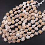 Natural Selenite Desert Rose Beads Raw Organic Freeform Druzy Gemstone 15.5" Strand