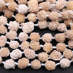 Natural Selenite Desert Rose Beads Raw Organic Freeform Druzy Gemstone 15.5" Strand