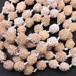 Natural Selenite Desert Rose Beads Raw Organic Freeform Druzy Gemstone 15.5" Strand
