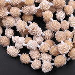 Natural Selenite Desert Rose Beads Raw Organic Freeform Druzy Gemstone 15.5" Strand