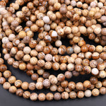 Natural Picture Jasper 3mm 4mm 6mm 8mm 10mm Smooth Round Beads Aka Desert Jasper 15.5" Strand