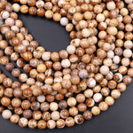Natural Picture Jasper 3mm 4mm 6mm 8mm 10mm Smooth Round Beads Aka Desert Jasper 15.5" Strand