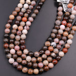 Natural Petrified Wood Beads 6mm 8mm 10mm Round Beads Earthy Brown Tan Gray Red Gemstone 15.5" Strand