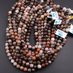 Natural Petrified Wood Beads 6mm 8mm 10mm Round Beads Earthy Brown Tan Gray Red Gemstone 15.5" Strand
