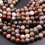 Natural Petrified Wood Beads 6mm 8mm 10mm Round Beads Earthy Brown Tan Gray Red Gemstone 15.5" Strand