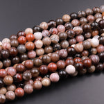 Natural Petrified Wood Beads 6mm 8mm 10mm Round Beads Earthy Brown Tan Gray Red Gemstone 15.5" Strand