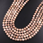 Matte Natural Fossil Crinoid Round Beads 6mm 8mm 10mm Earthy Beige Tan Gemstone 15.5" Strand