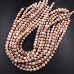 Matte Natural Fossil Crinoid Round Beads 6mm 8mm 10mm Earthy Beige Tan Gemstone 15.5" Strand