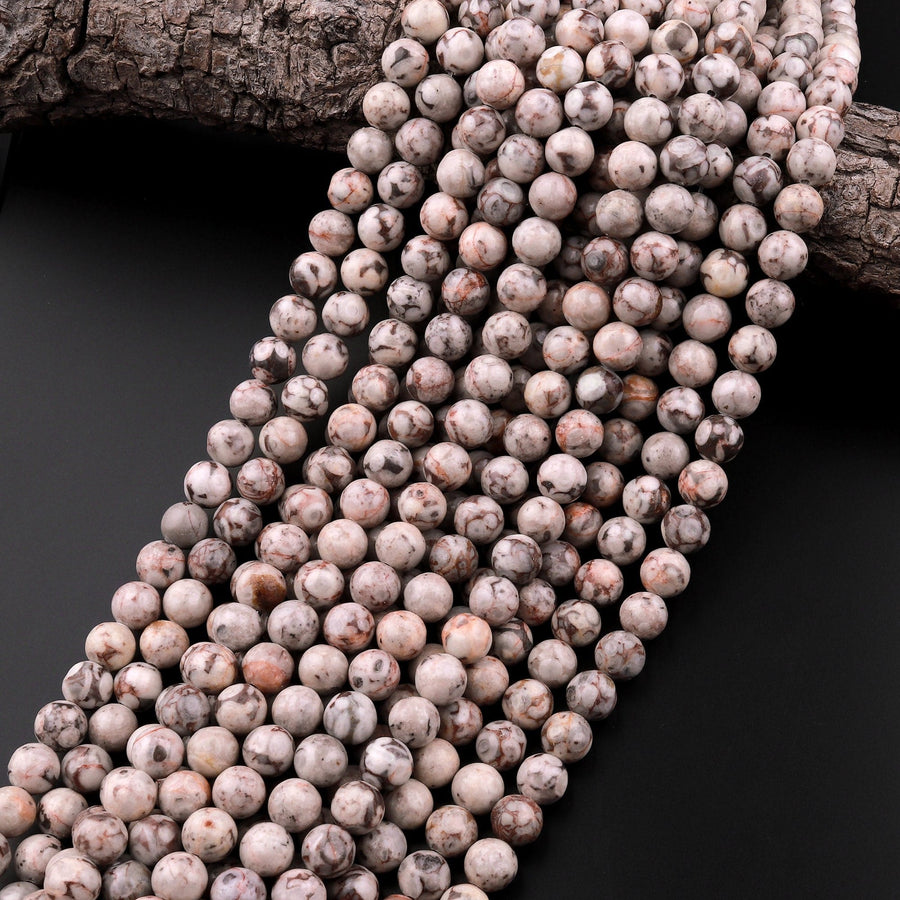 Natural Fossil Crinoid Round Beads 4mm 6mm 8mm 10mm 12mm Earthy Gray Beige Slate Gemstone 15.5" Strand