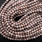 Natural Fossil Crinoid Round Beads 4mm 6mm 8mm 10mm 12mm Earthy Gray Beige Slate Gemstone 15.5" Strand