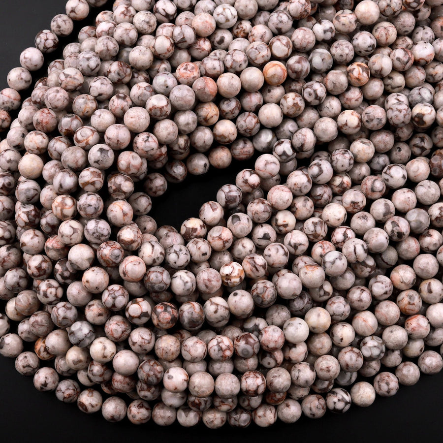 Natural Fossil Crinoid Round Beads 4mm 6mm 8mm 10mm 12mm Earthy Gray Beige Slate Gemstone 15.5" Strand