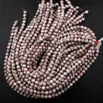 Natural Fossil Crinoid Round Beads 4mm 6mm 8mm 10mm 12mm Earthy Gray Beige Slate Gemstone 15.5" Strand