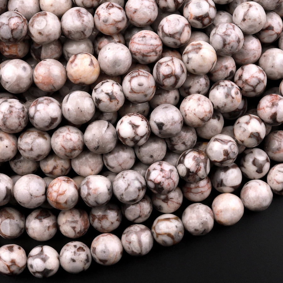 Natural Fossil Crinoid Round Beads 4mm 6mm 8mm 10mm 12mm Earthy Gray Beige Slate Gemstone 15.5" Strand