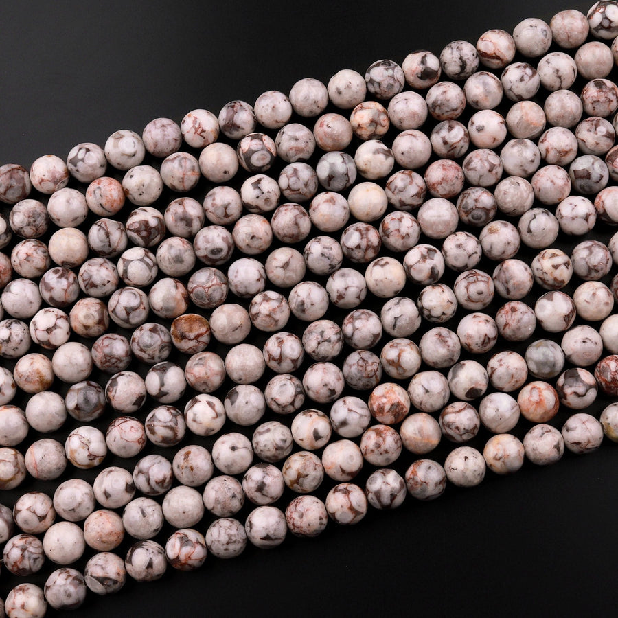 Natural Fossil Crinoid Round Beads 4mm 6mm 8mm 10mm 12mm Earthy Gray Beige Slate Gemstone 15.5" Strand