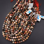 Natural Polychrome Landscape Ocean Jasper 4mm 6mm 8mm 10mm 12mm Smooth Round Beads 15.5" Strand