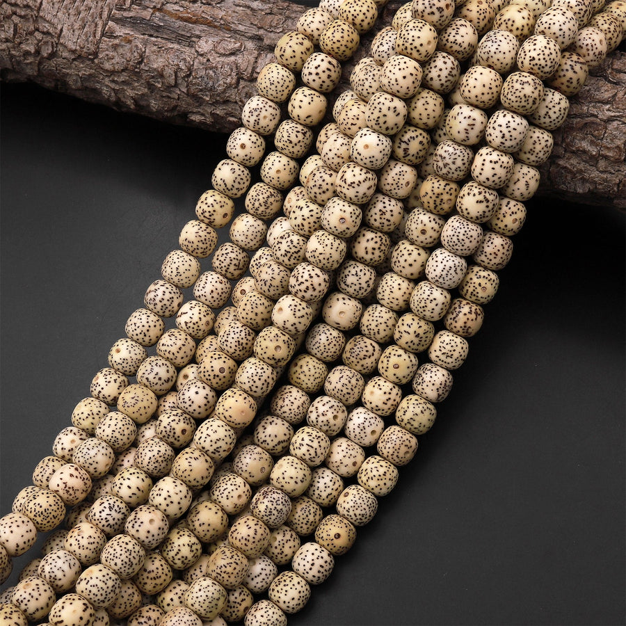 Natural Daemonorops Margaritae Rounded Barrel Beads 8mm 9mm "Star and Moon" Bodhi Seed Prayer Beads Meditation Mala Making 15.5" Strand