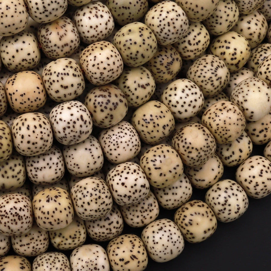 Natural Daemonorops Margaritae Rounded Barrel Beads 8mm 9mm "Star and Moon" Bodhi Seed Prayer Beads Meditation Mala Making 15.5" Strand