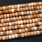 AAA Natural Fossil Coral Smooth Rondelle Beads 6mm 8mm 10mm Golden Brown Beige Tan Yellow Gemstone