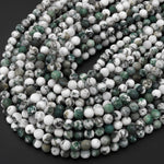 Matte Natural Green Tree Agate 4mm 6mm 8mm 10mm Round Beads 15.5" Strand