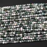 Natural Green Tree Agate 4mm 6mm 8mm 10mm Smooth Round Beads 15.5" Strand