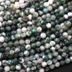 Natural Green Tree Agate 4mm 6mm 8mm 10mm Smooth Round Beads 15.5" Strand
