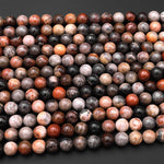 Natural Fossil Coral Round Beads 4mm 6mm 8mm 10mm Orange Red Dark Gray Brown Tan Beige Beads 15.5" Strand