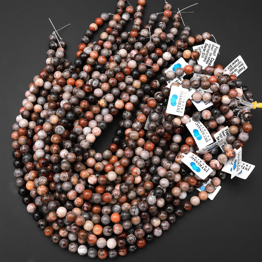 Natural Fossil Coral Round Beads 4mm 6mm 8mm 10mm Orange Red Dark Gray Brown Tan Beige Beads 15.5" Strand