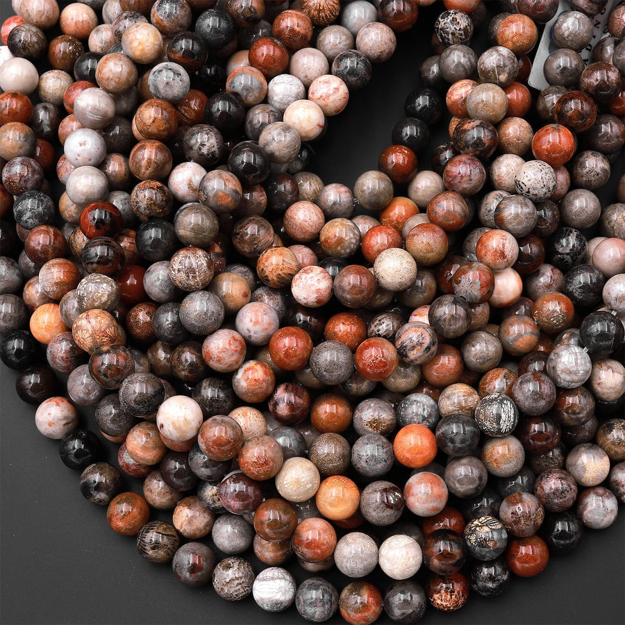 Natural Fossil Coral Round Beads 4mm 6mm 8mm 10mm Orange Red Dark Gray Brown Tan Beige Beads 15.5" Strand