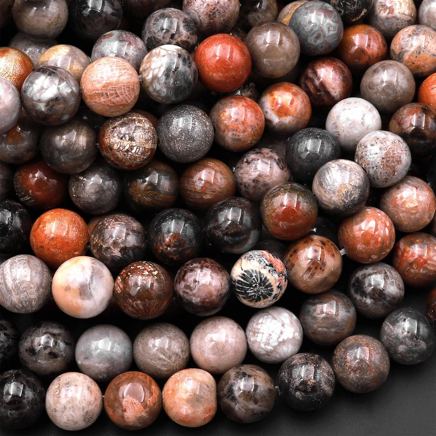 Natural Fossil Coral Round Beads 4mm 6mm 8mm 10mm Orange Red Dark Gray Brown Tan Beige Beads 15.5" Strand