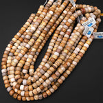 AAA Natural Fossil Coral Smooth Rondelle Beads 6mm 8mm 10mm Golden Brown Beige Tan Yellow Gemstone