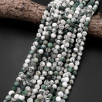 Matte Natural Green Tree Agate 4mm 6mm 8mm 10mm Round Beads 15.5" Strand